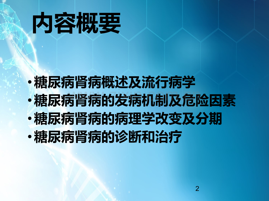 糖尿病肾病的诊断与治疗.ppt_第2页