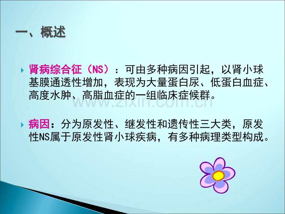 肾病综合征的护理ppt课件.ppt_第2页