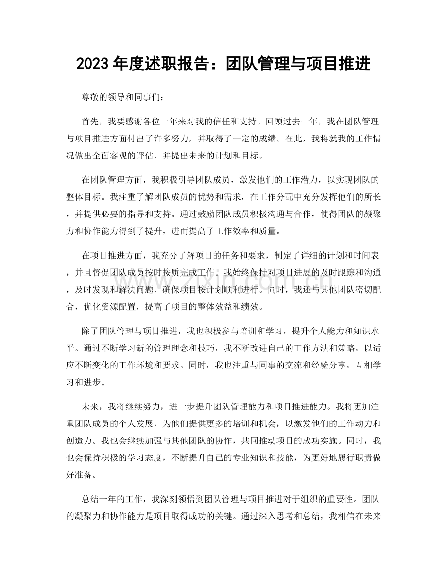 2023年度述职报告：团队管理与项目推进.docx_第1页