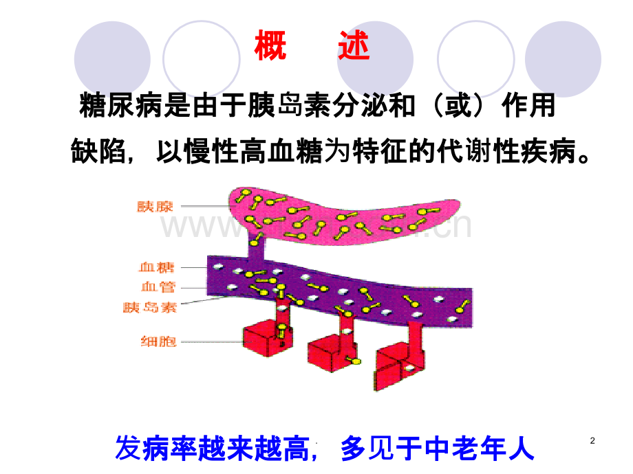 糖尿病及并发症的护理.ppt_第2页