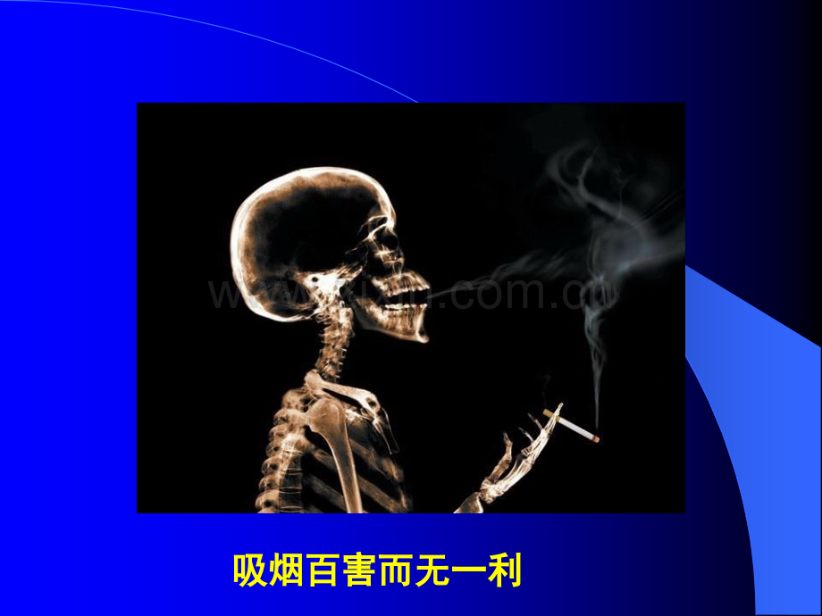 认识香烟.ppt_第3页