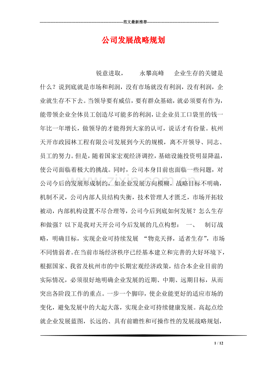 公司发展战略规划.doc_第1页