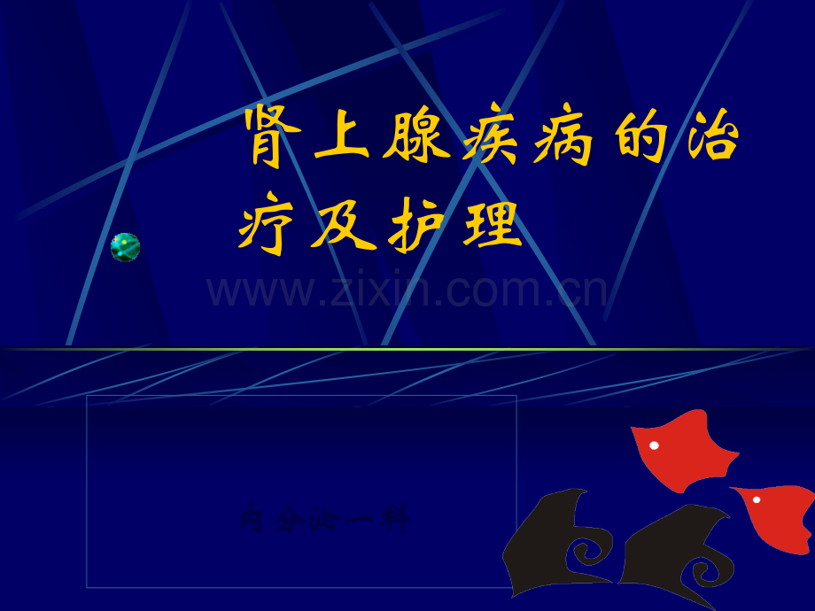 肾上腺疾病的治疗及护理.ppt_第1页