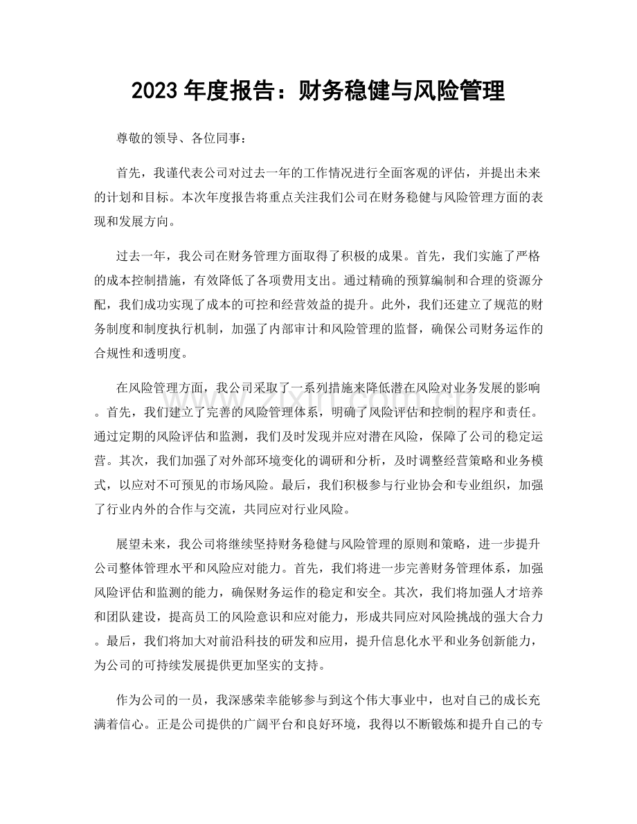 2023年度报告：财务稳健与风险管理.docx_第1页