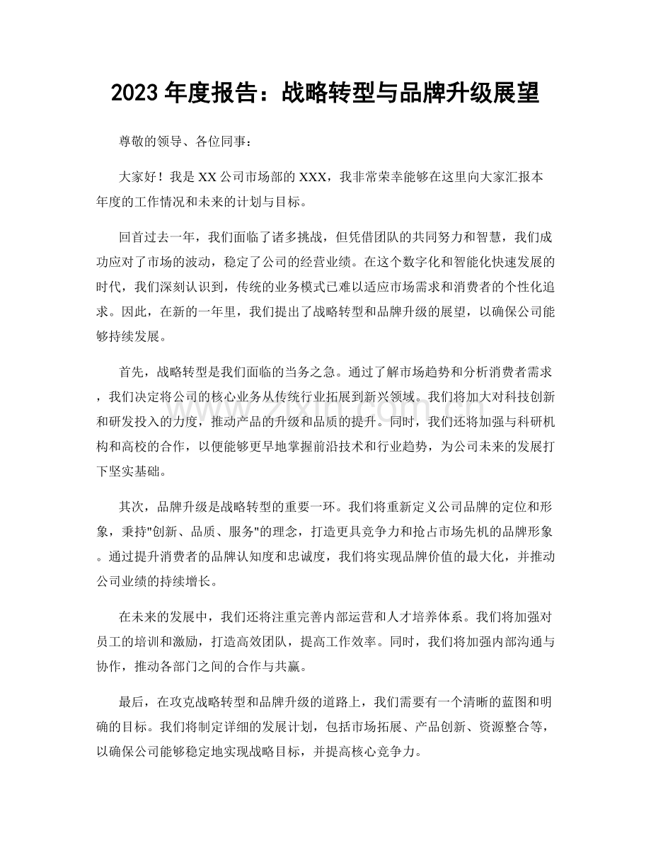 2023年度报告：战略转型与品牌升级展望.docx_第1页