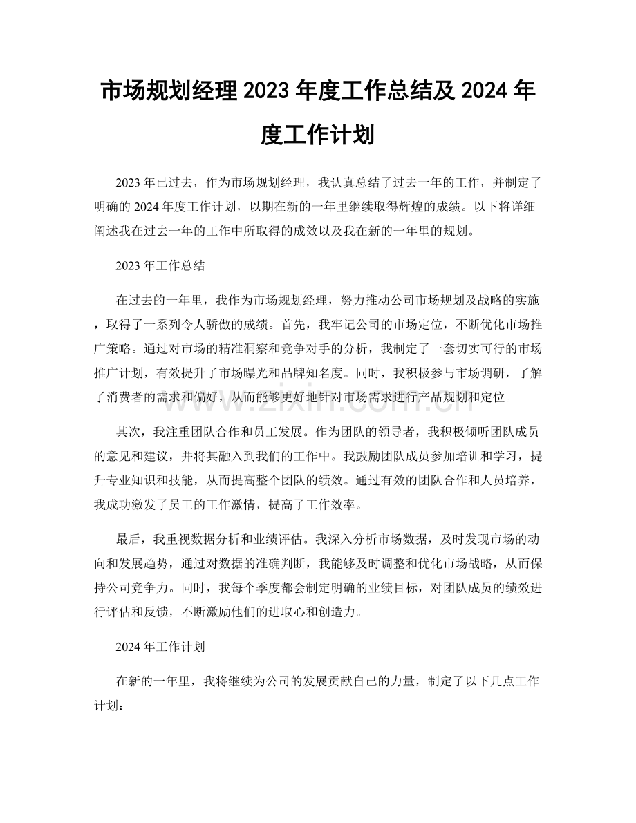 市场规划经理2023年度工作总结及2024年度工作计划.docx_第1页