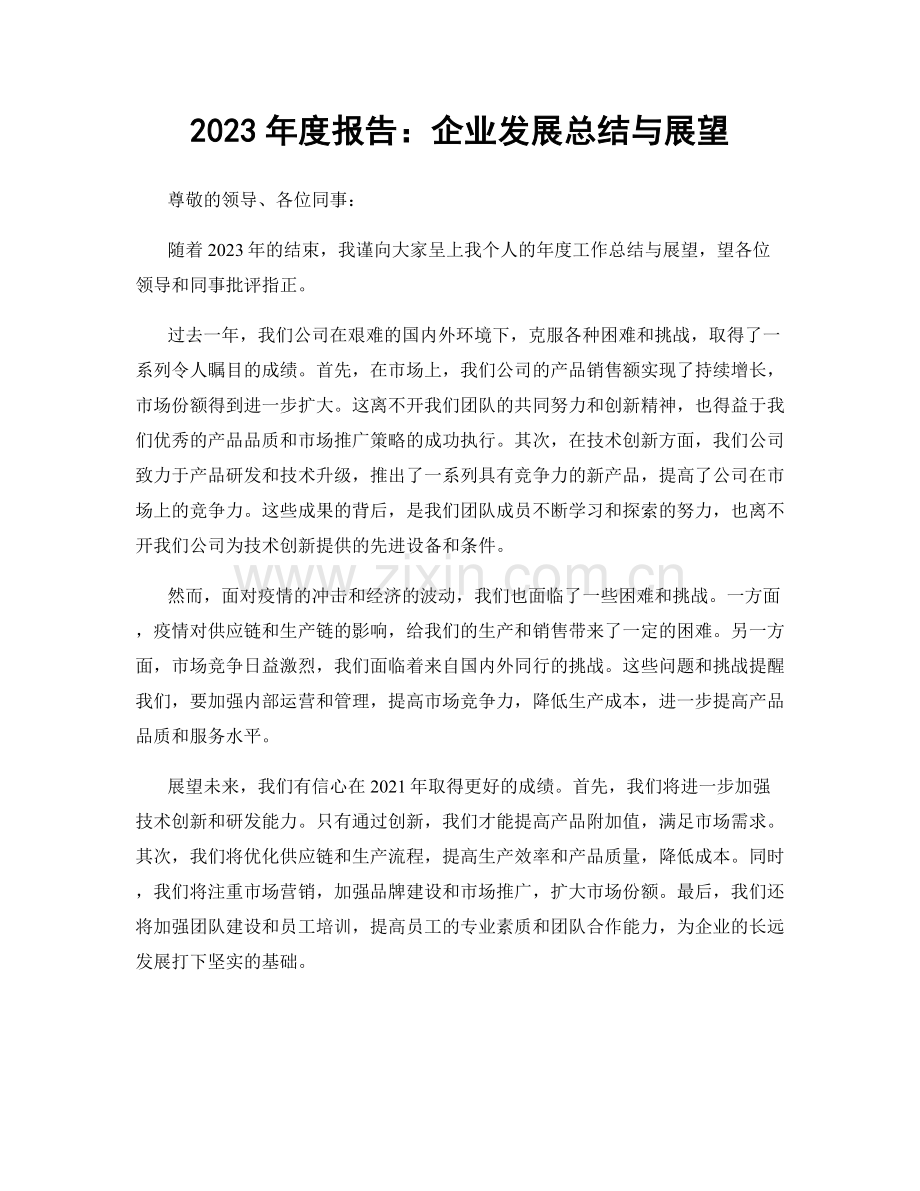 2023年度报告：企业发展总结与展望.docx_第1页