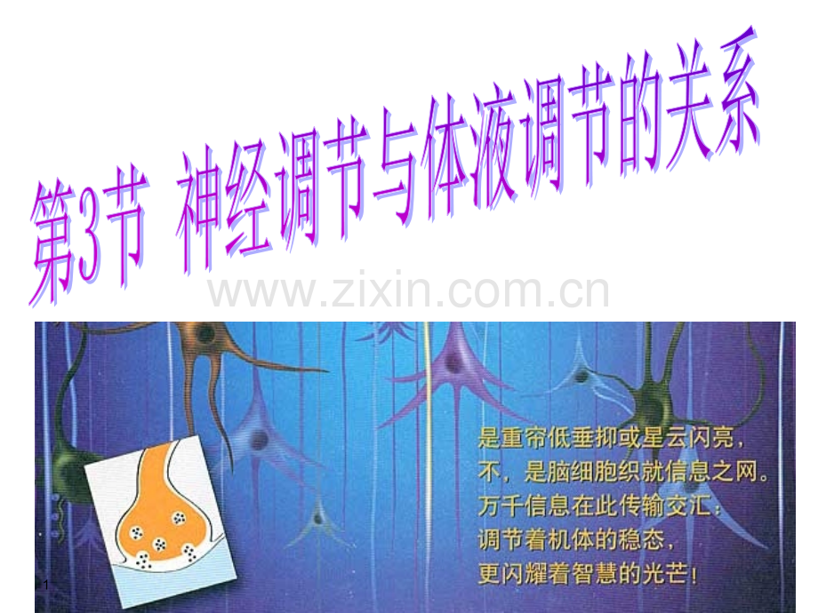 神经调节与体液调节的关系.ppt_第1页