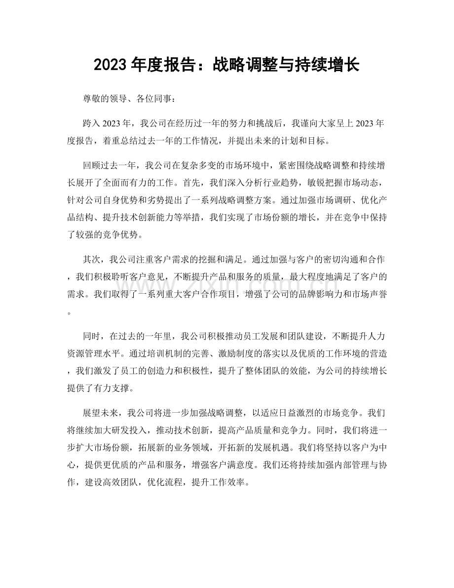 2023年度报告：战略调整与持续增长.docx_第1页