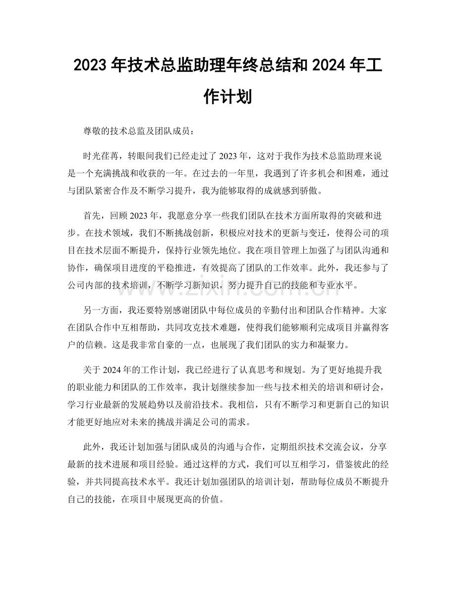 2023年技术总监助理年终总结和2024年工作计划.docx_第1页