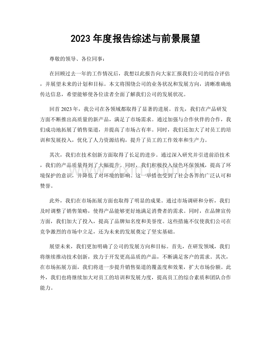 2023年度报告综述与前景展望.docx_第1页