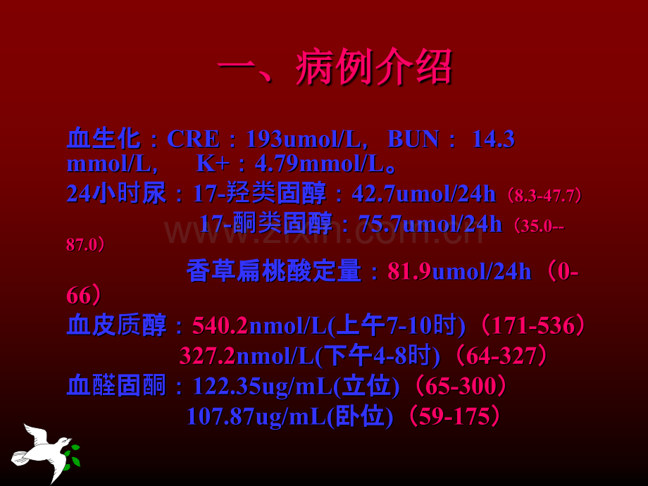 肾上腺肿瘤患者的护理查房.ppt_第3页