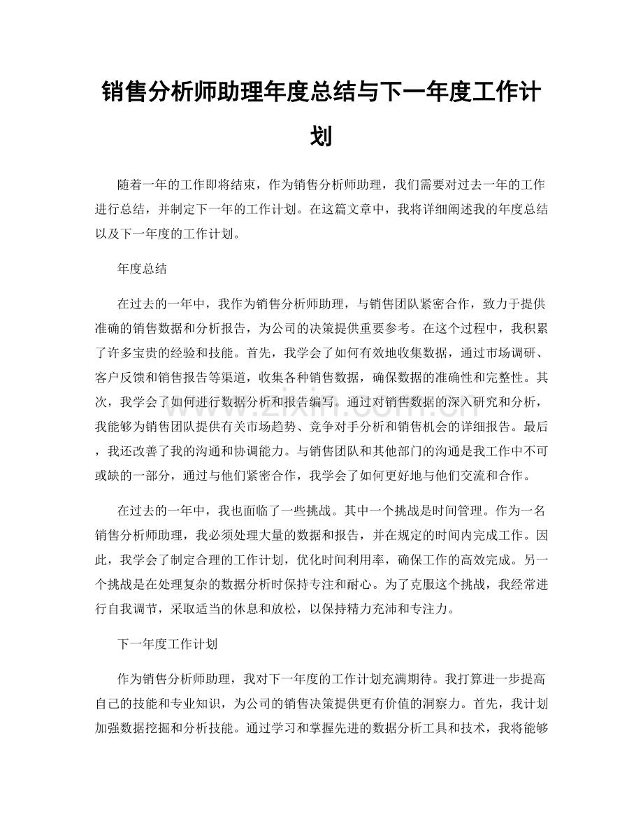 销售分析师助理年度总结与下一年度工作计划.docx_第1页