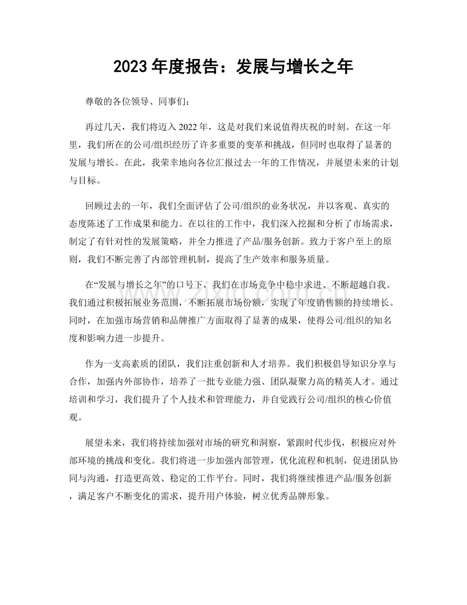 2023年度报告：发展与增长之年.docx_第1页