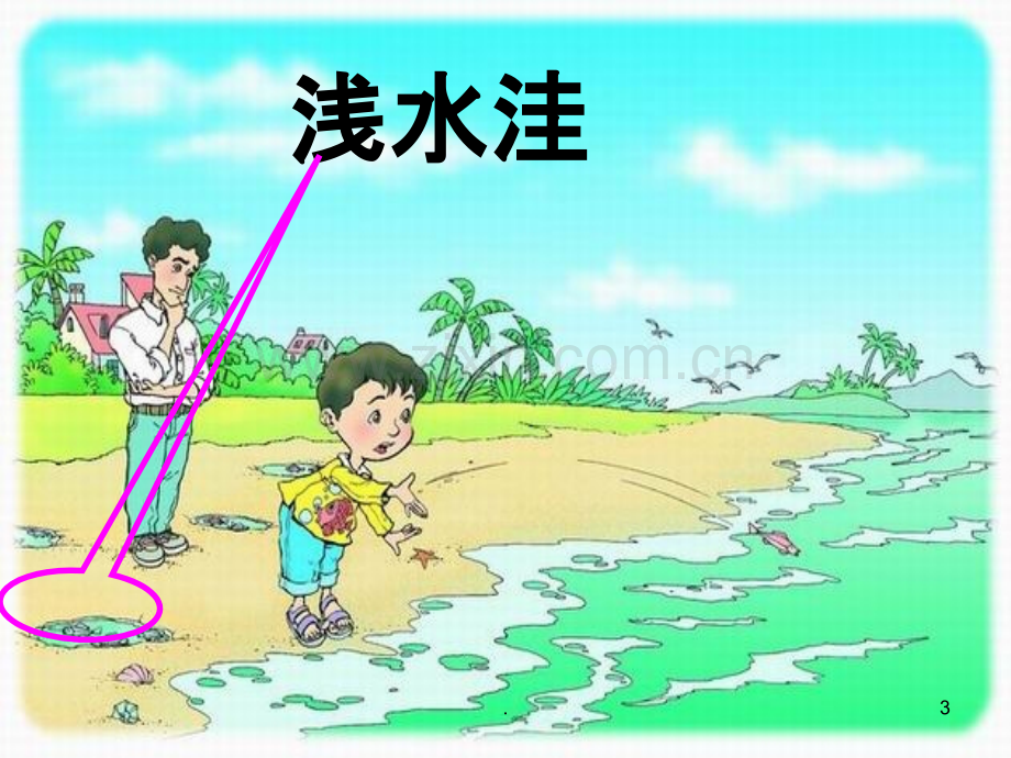 浅水洼里的小鱼-----郭玉珍.ppt_第3页