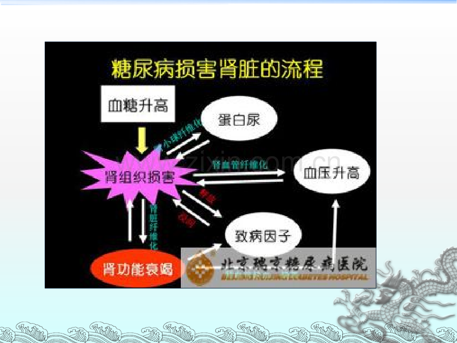 糖尿病肾病病人的护理.ppt_第3页