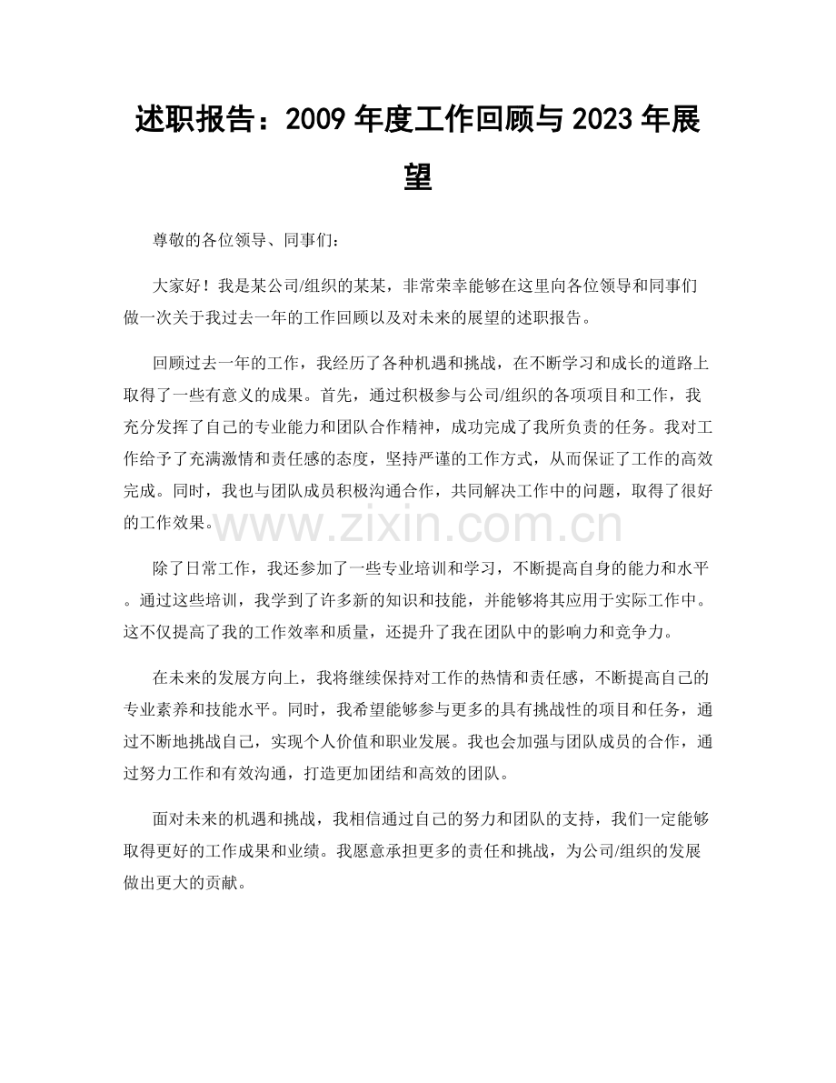 述职报告：2009年度工作回顾与2023年展望.docx_第1页