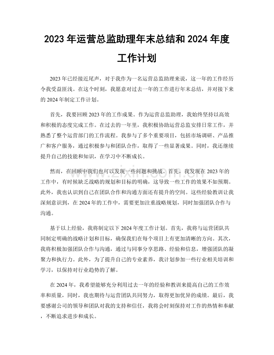 2023年运营总监助理年末总结和2024年度工作计划.docx_第1页