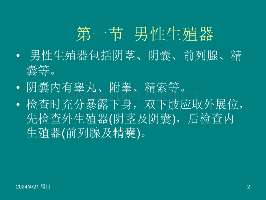 生殖器肛门直肠检查.ppt_第2页