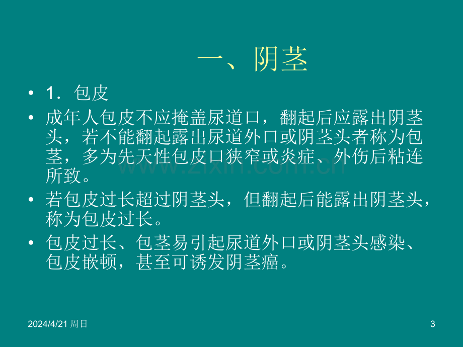 生殖器肛门直肠检查.ppt_第3页