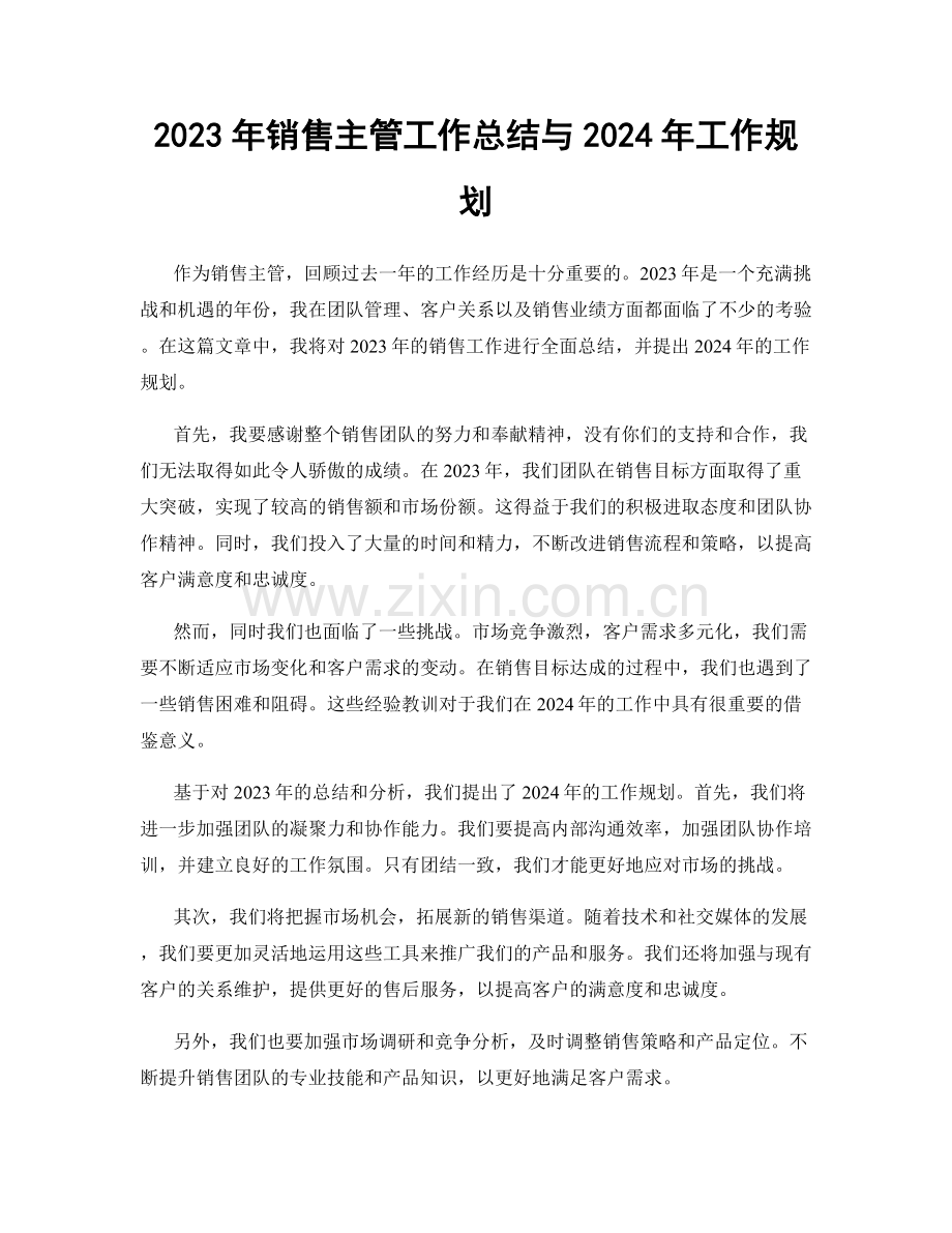 2023年销售主管工作总结与2024年工作规划.docx_第1页