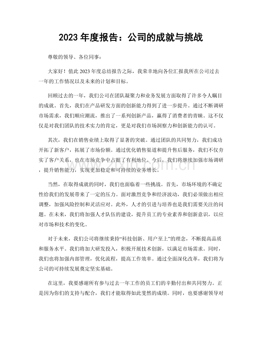 2023年度报告：公司的成就与挑战.docx_第1页