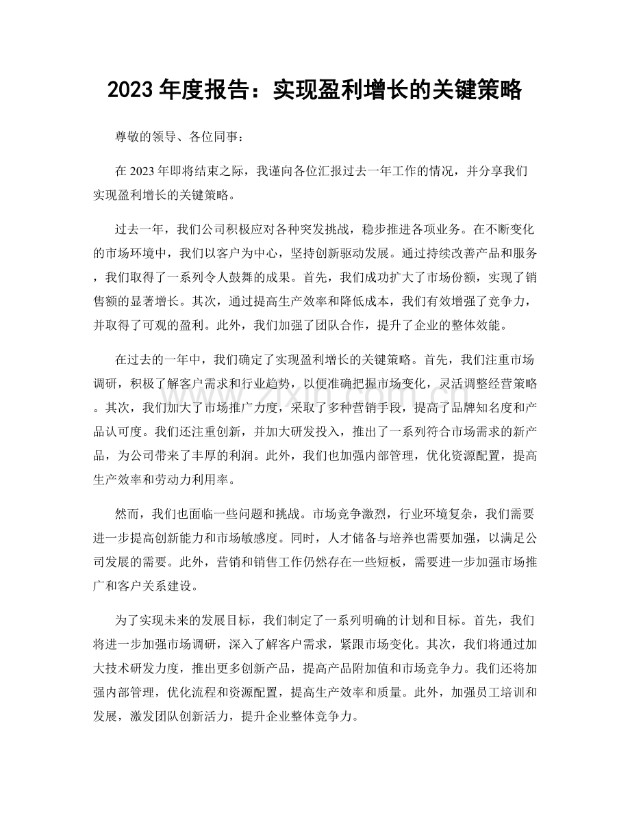 2023年度报告：实现盈利增长的关键策略.docx_第1页