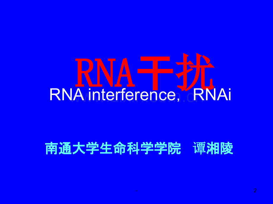 生命科学专题RNAi.ppt_第2页