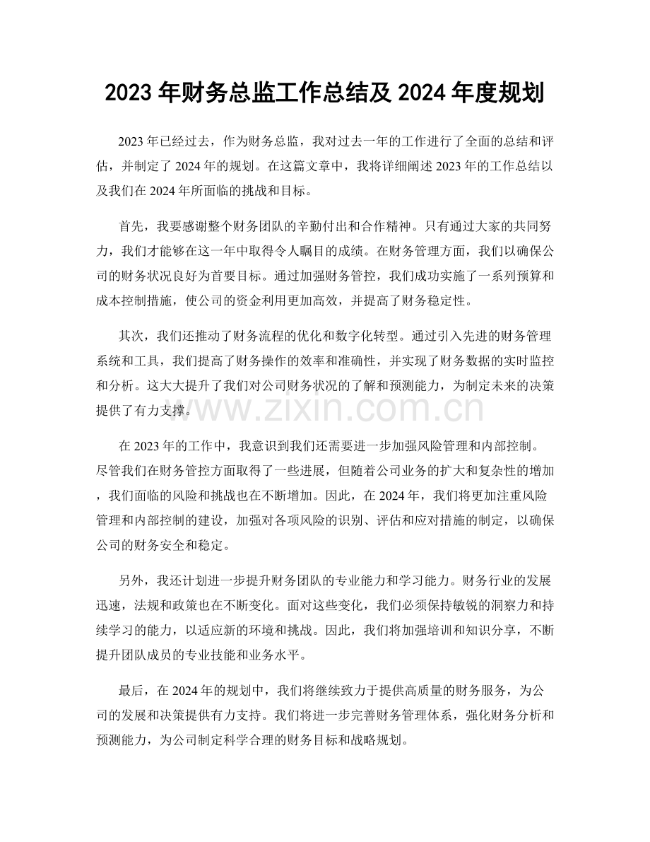 2023年财务总监工作总结及2024年度规划.docx_第1页