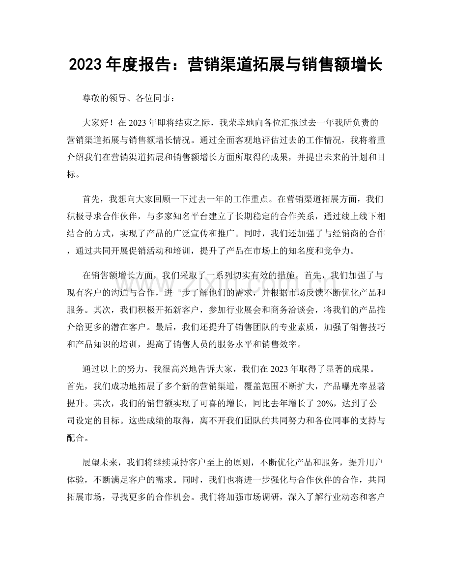 2023年度报告：营销渠道拓展与销售额增长.docx_第1页