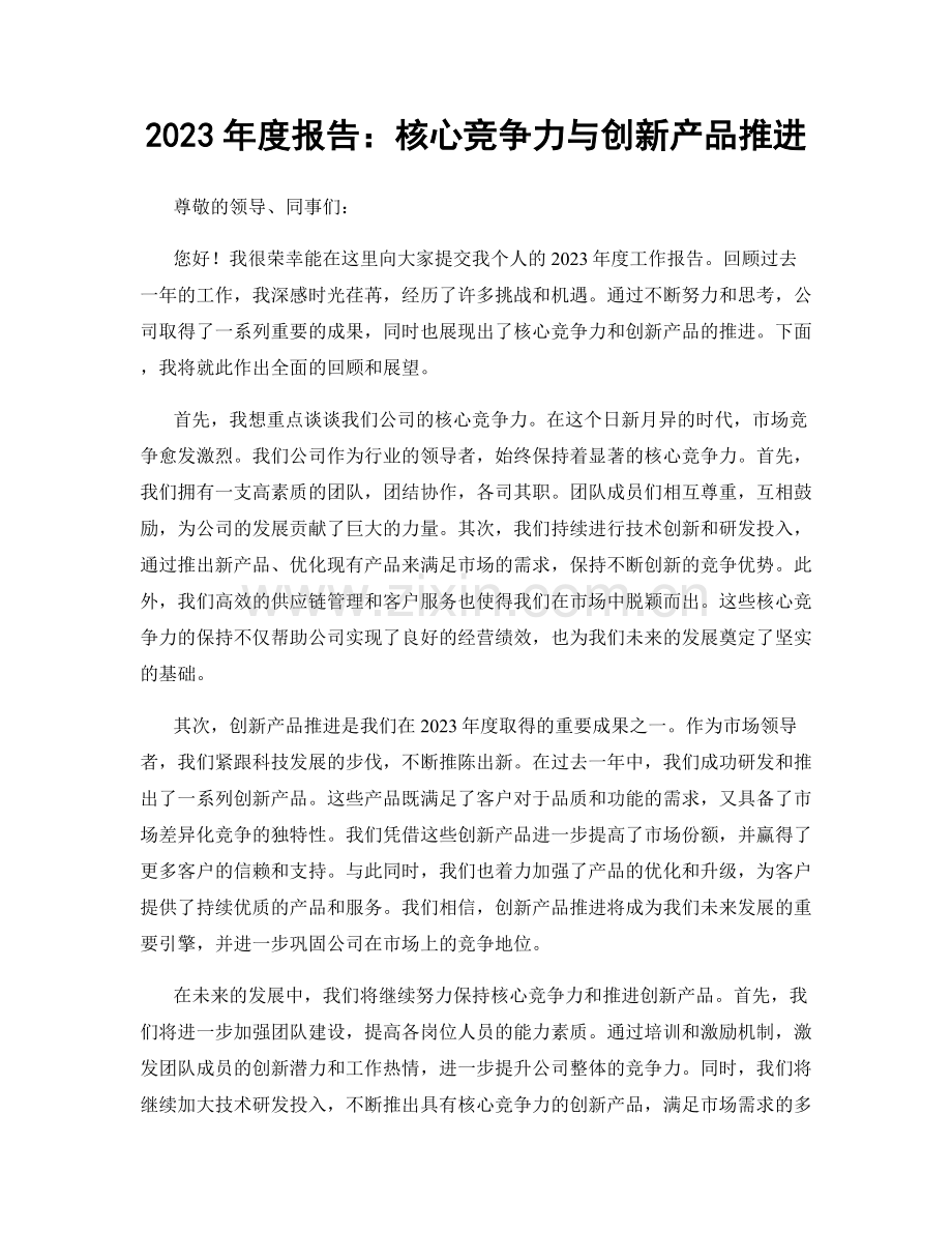 2023年度报告：核心竞争力与创新产品推进.docx_第1页