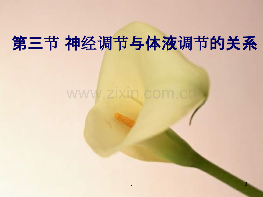 神经调节和体液调节.ppt_第3页