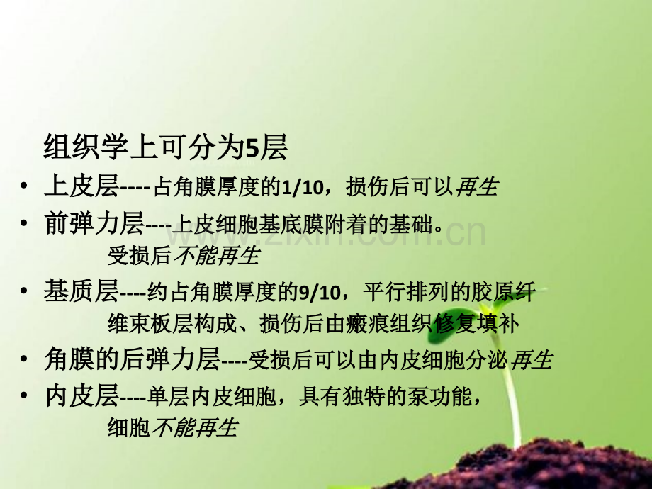 角膜病ppt课件.ppt_第2页