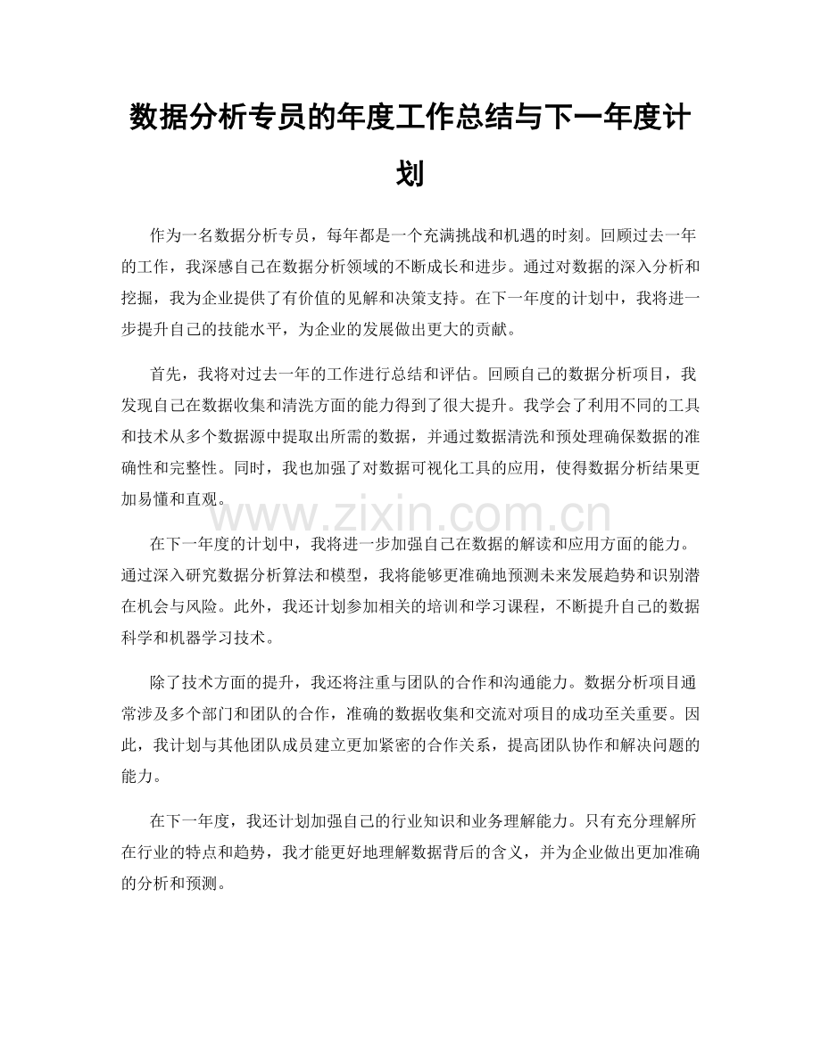 数据分析专员的年度工作总结与下一年度计划.docx_第1页