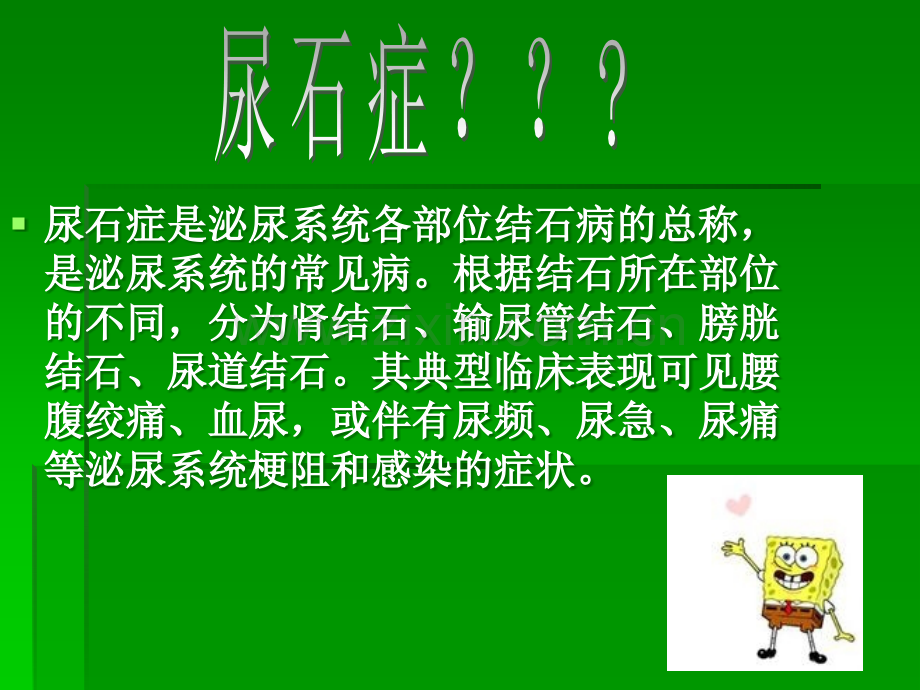 泌尿结石的健康教育.ppt_第2页