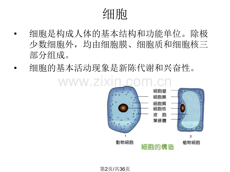 医学基础.pptx_第2页