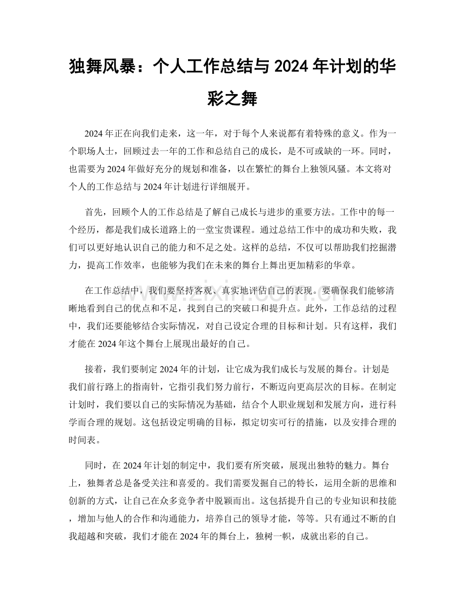 独舞风暴：个人工作总结与2024年计划的华彩之舞.docx_第1页