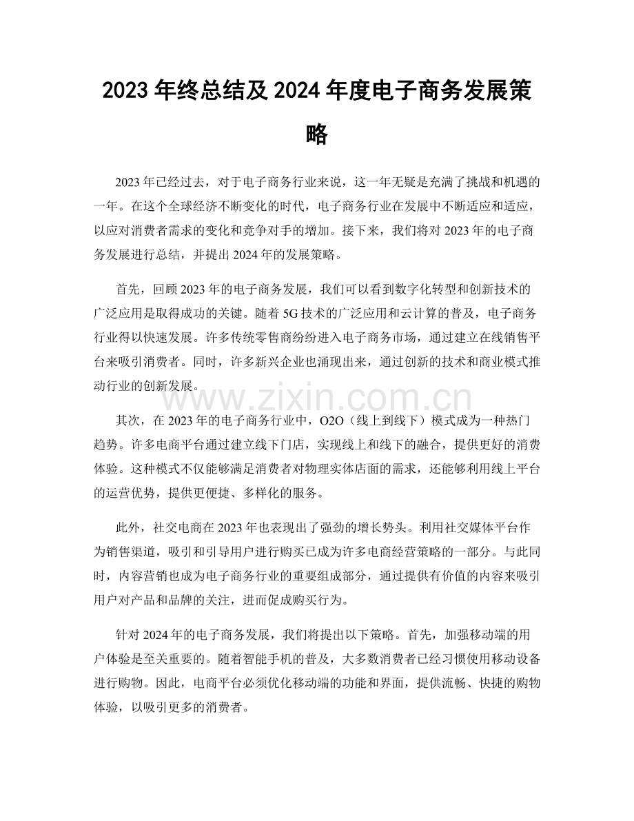 2023年终总结及2024年度电子商务发展策略.docx_第1页