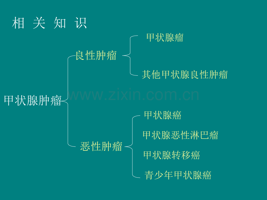 甲状腺癌的护理查房ppt.ppt_第2页