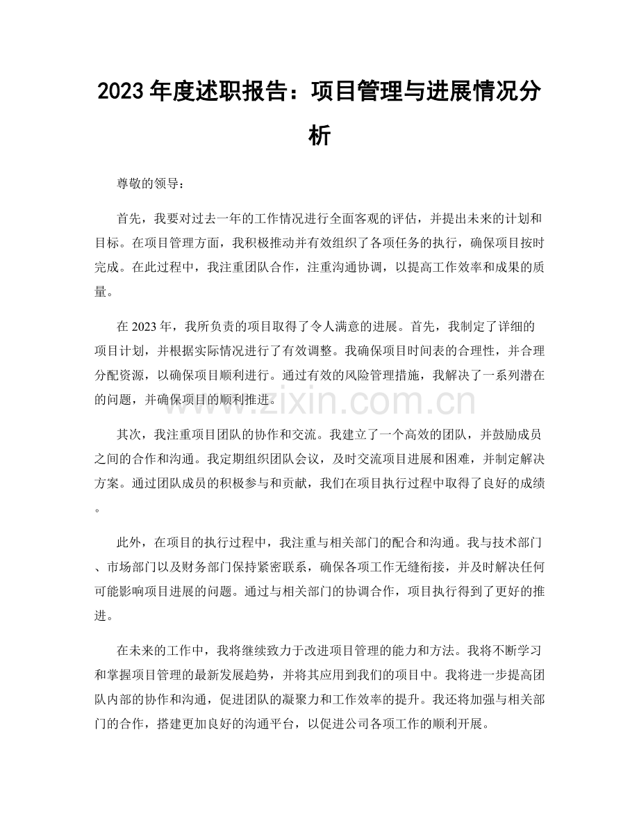 2023年度述职报告：项目管理与进展情况分析.docx_第1页