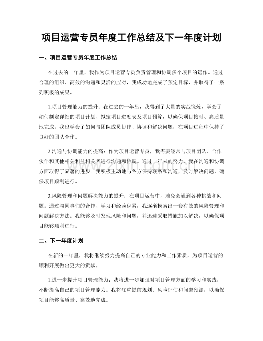 项目运营专员年度工作总结及下一年度计划.docx_第1页