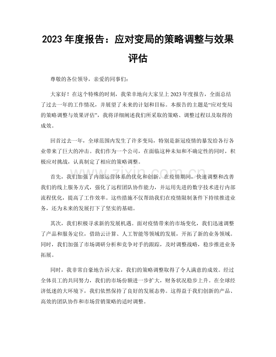 2023年度报告：应对变局的策略调整与效果评估.docx_第1页