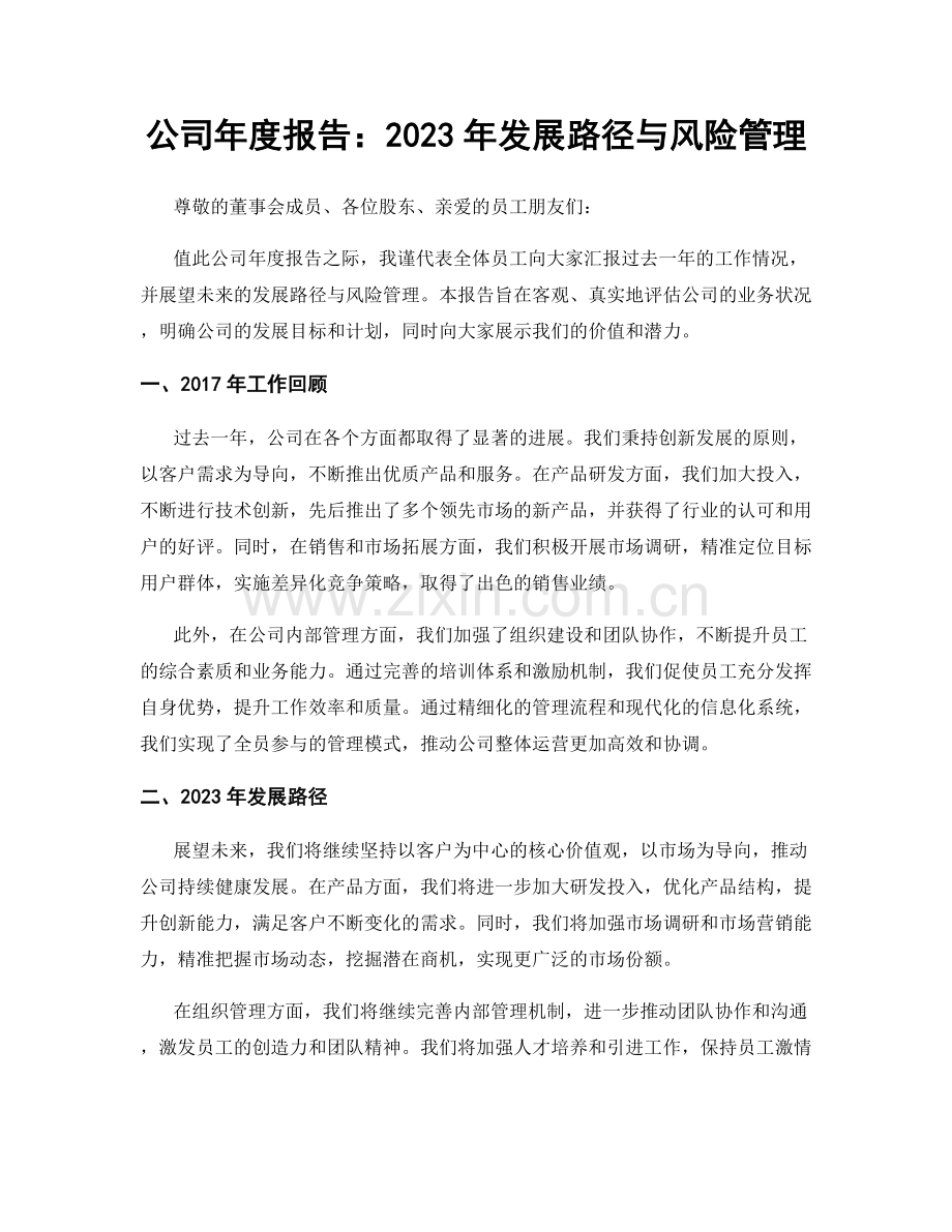 公司年度报告：2023年发展路径与风险管理.docx_第1页