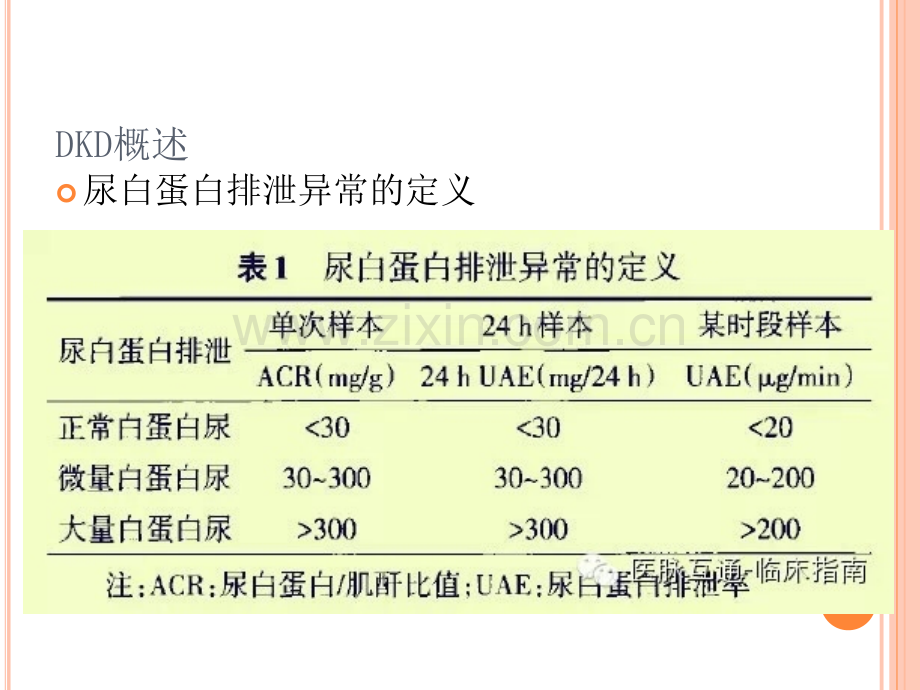 糖尿病肾病常用降糖、降脂及降压药物用药选择.ppt_第3页