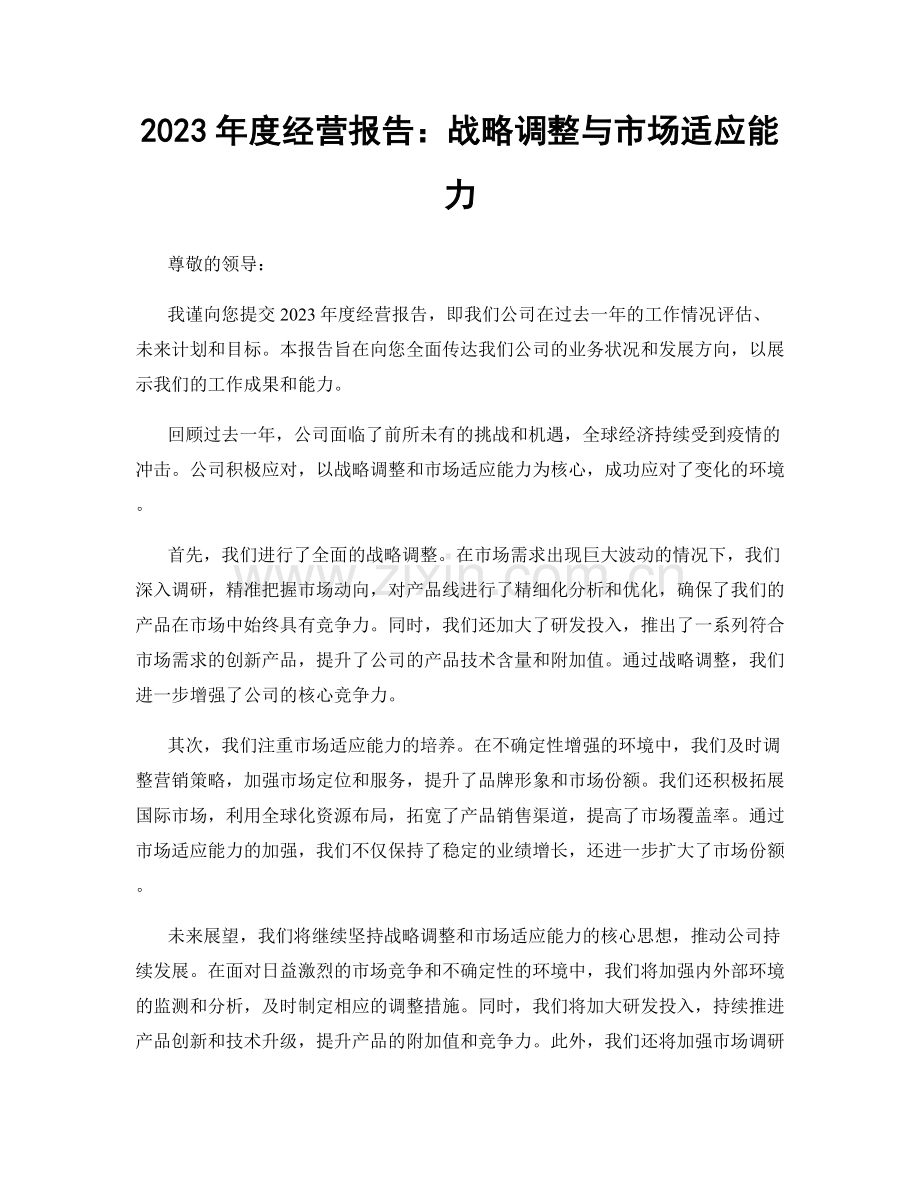 2023年度经营报告：战略调整与市场适应能力.docx_第1页