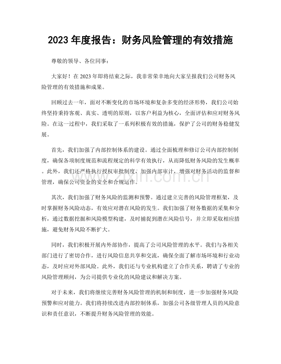 2023年度报告：财务风险管理的有效措施.docx_第1页