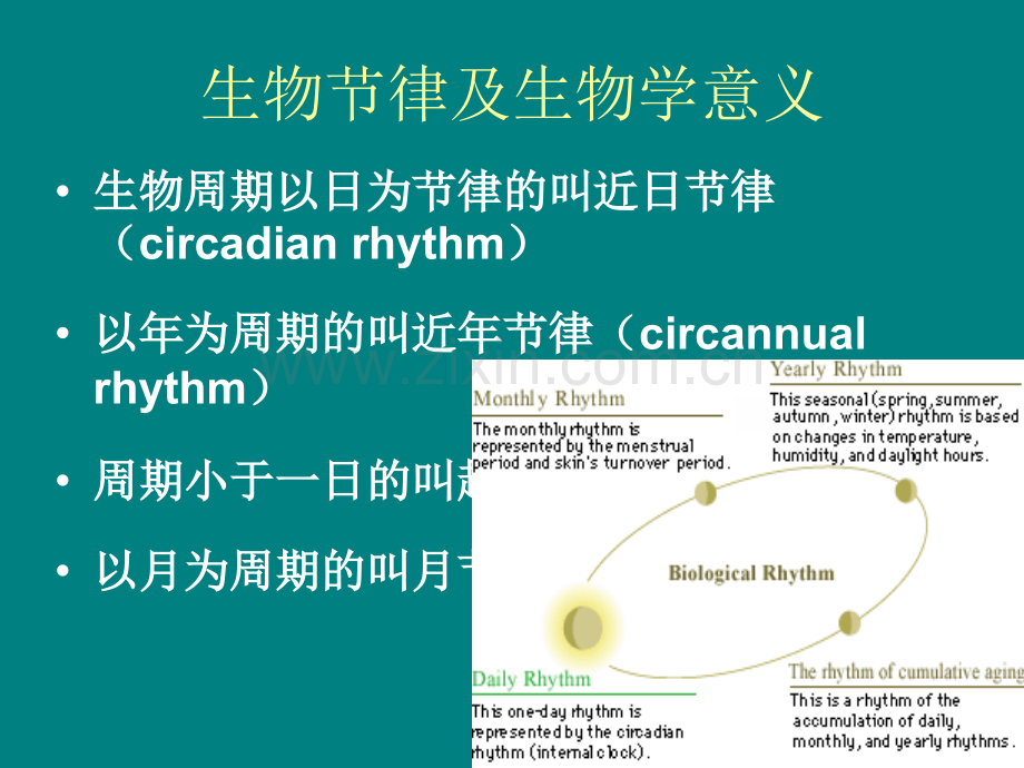 时间药理学与临床合理用药.ppt_第3页