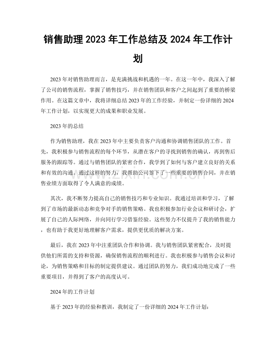 销售助理2023年工作总结及2024年工作计划.docx_第1页