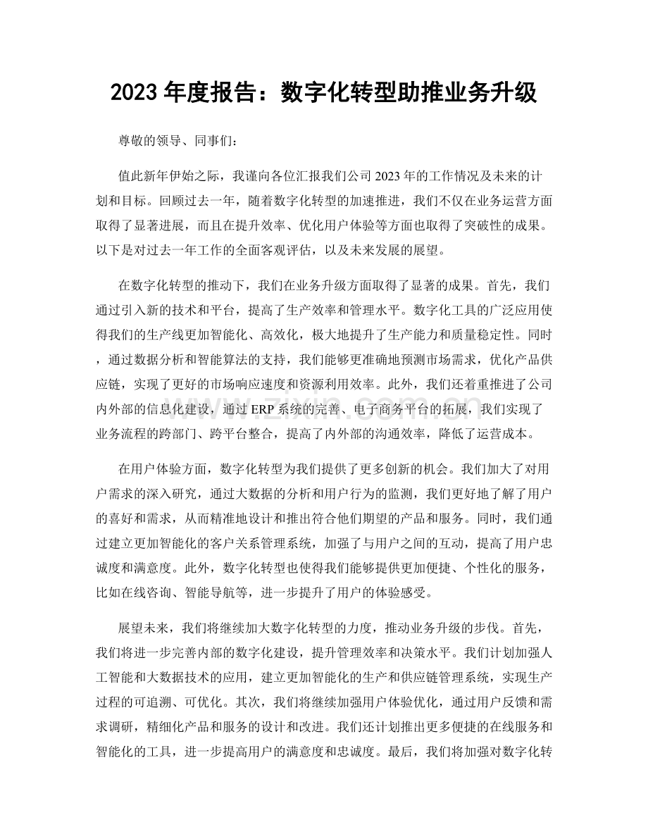 2023年度报告：数字化转型助推业务升级.docx_第1页