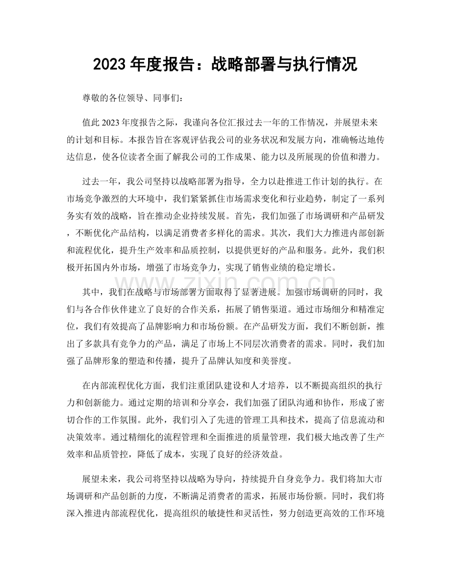 2023年度报告：战略部署与执行情况.docx_第1页